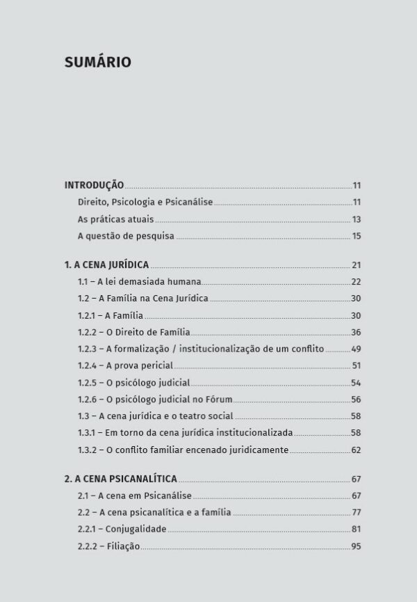 Um Psicólogo no Tribunal de Família: a prática na interface Direito e Psicanálise - Image 3