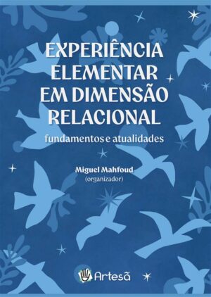 Experiência Elementar em Dimensão Relacional: Fundamentos e Atualidades